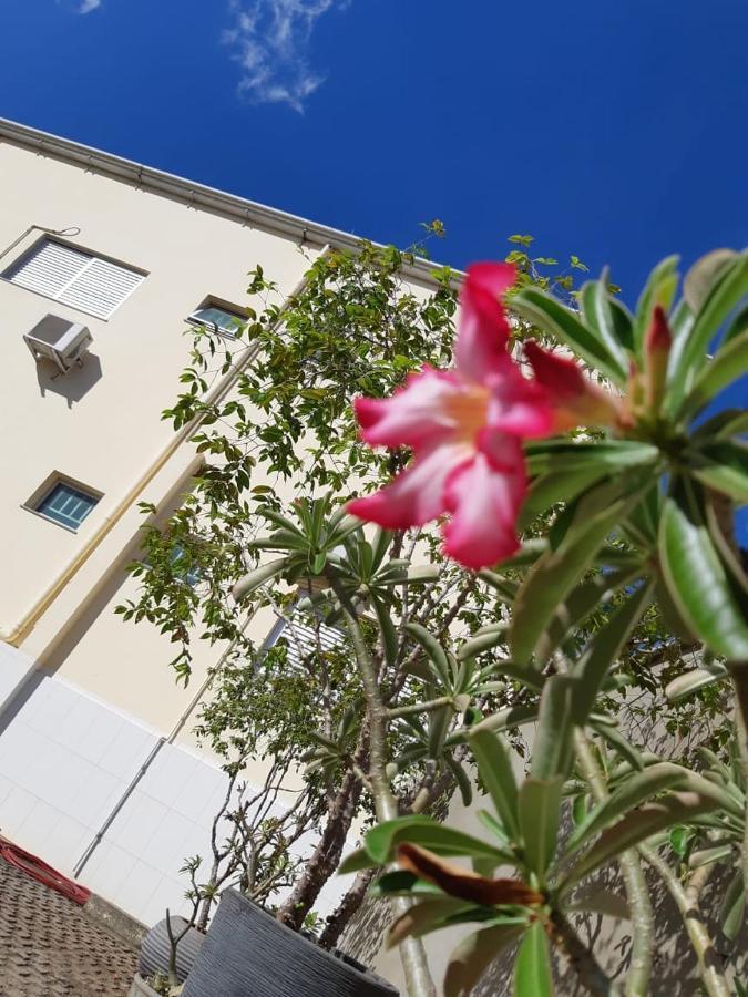 Hotel Executivo อรากัวอีนา ภายนอก รูปภาพ